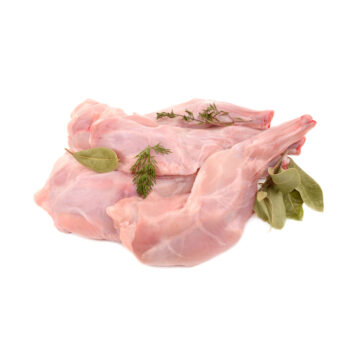 Coniglio